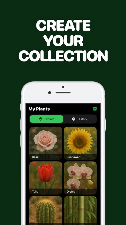 Identify Plants with AI