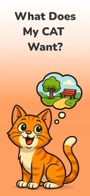 Cat Translator: Talk to Cat screenshot 4