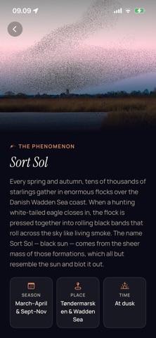 Sort Sol screenshot 5