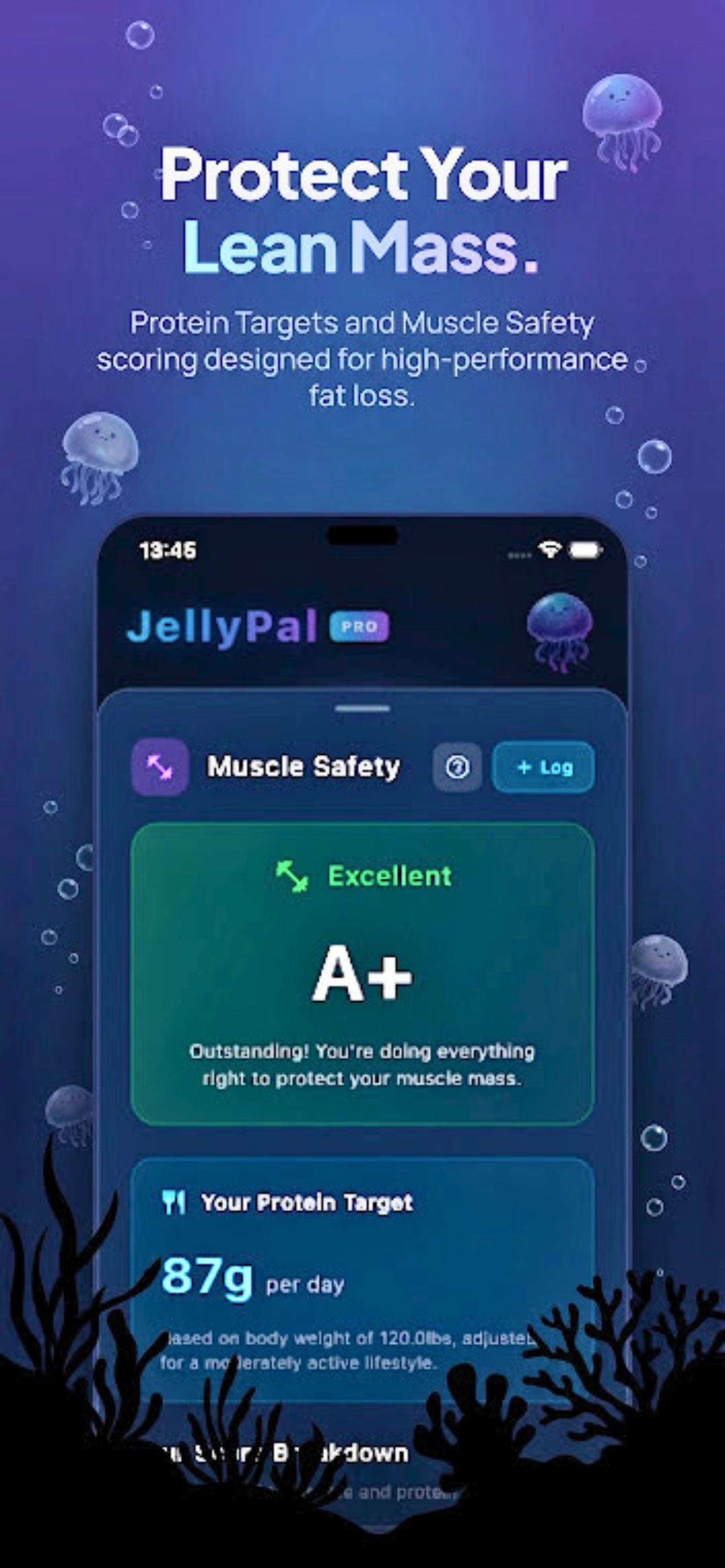 JellyPal