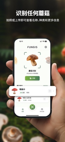Fungis: 蘑菇识别器 screenshot