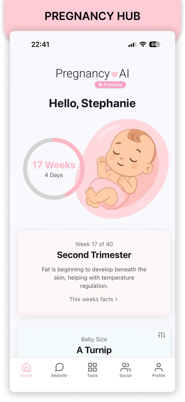 #1. Pregnancy AI (iOS) 由: Baby World AI