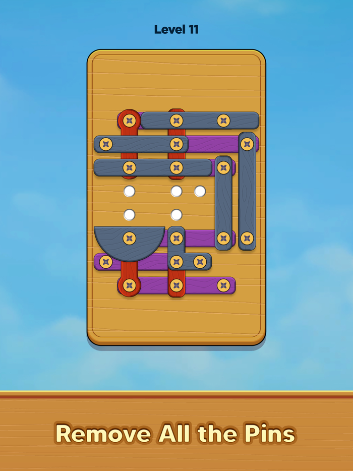 Nuts and Woods Screw Puzzle