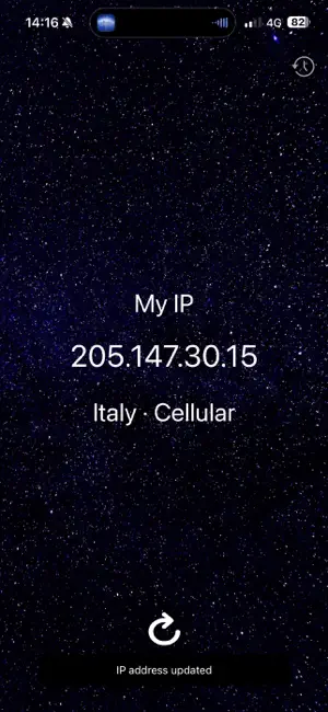 The Simplest Ever Find My IP screenshot 1