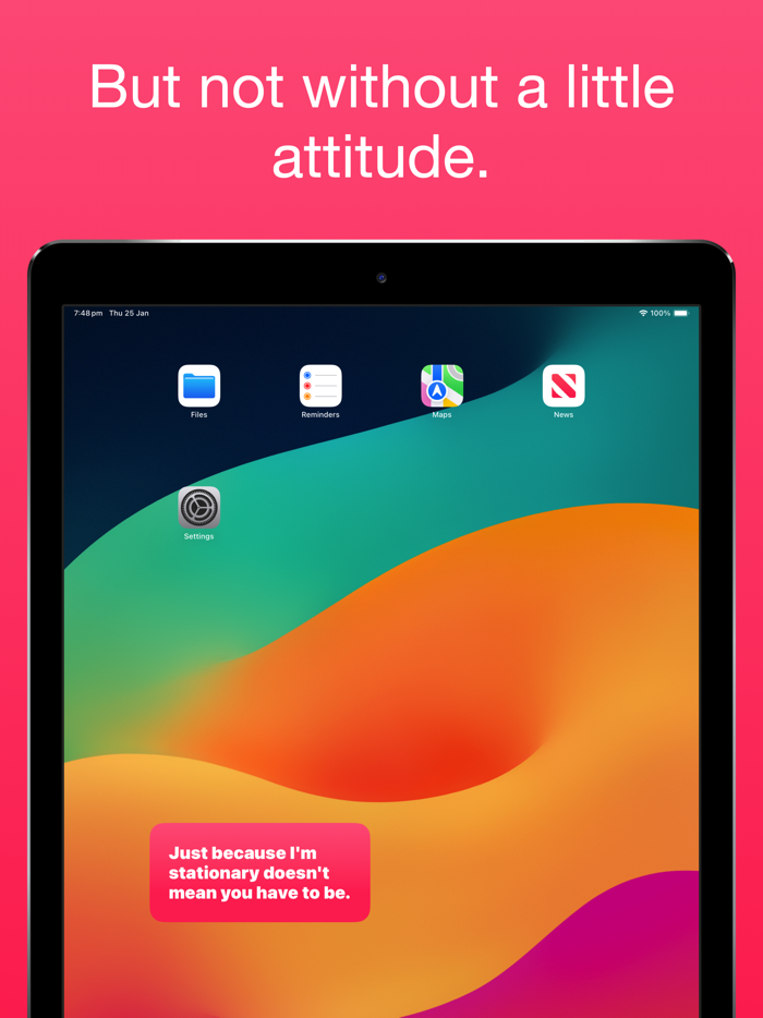 Active Posture Checks Flamingo
