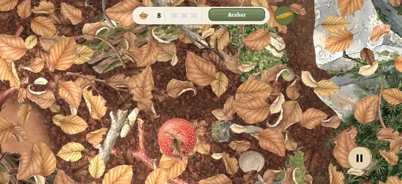 Bolets a la vista screenshot 2 of 8