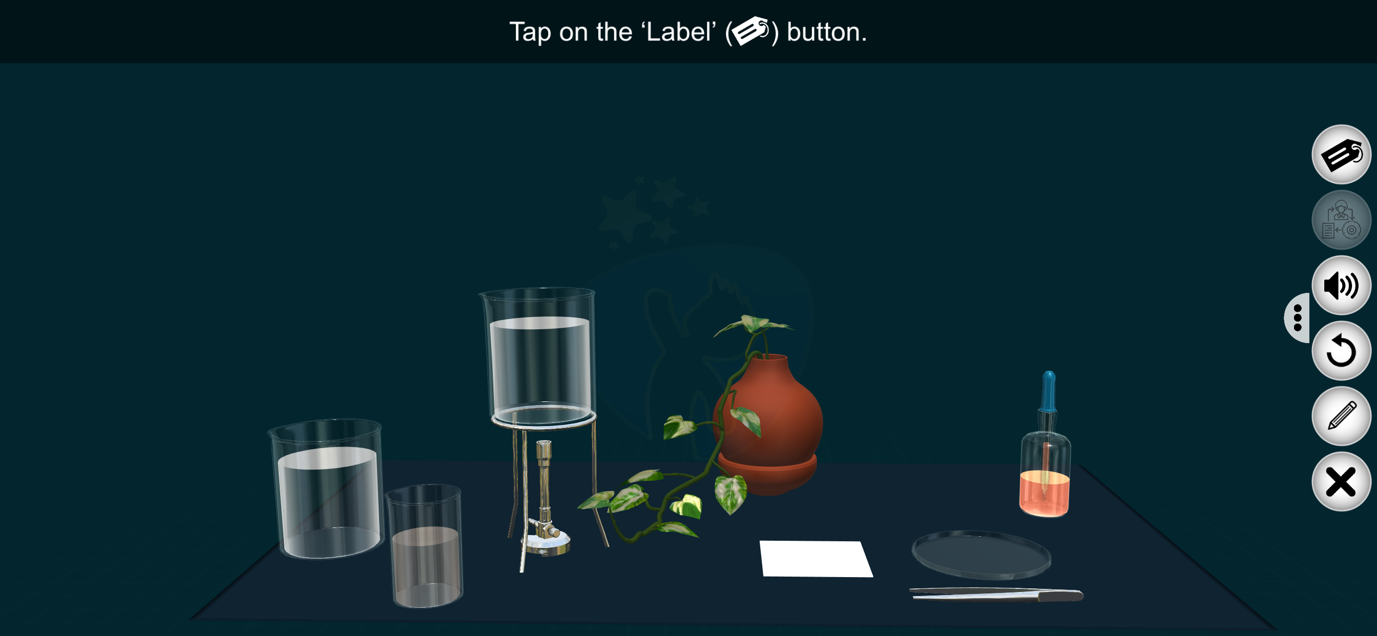 Chlorophyll Role - EduTech Era