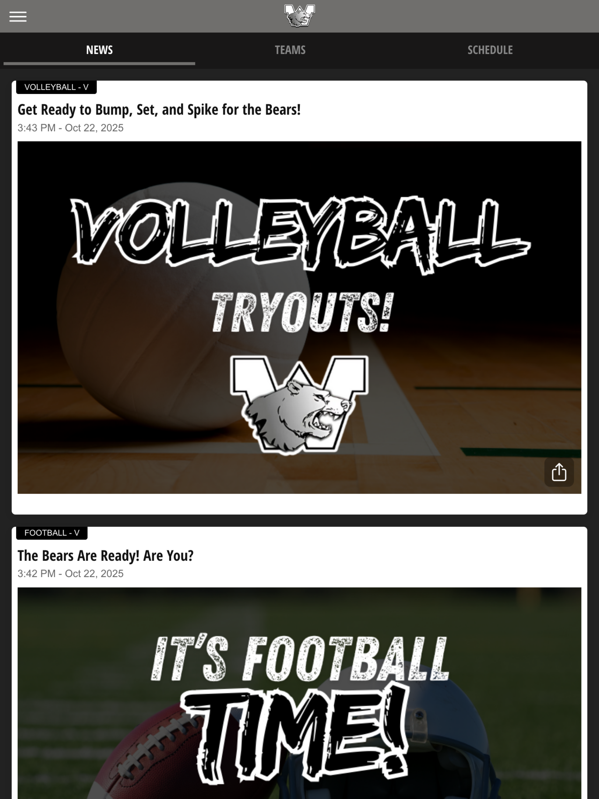 Woodlawn Athletics