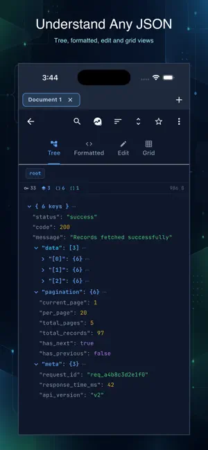 JSON Viewer and Editor screenshot 2