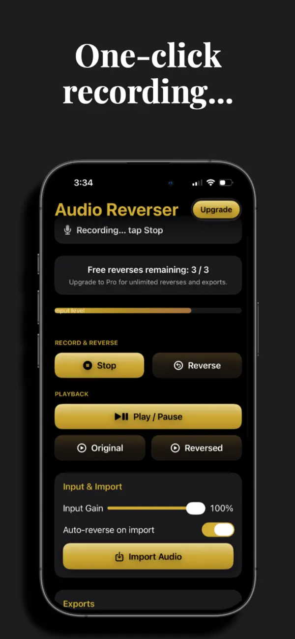 Screenshot #2 pour Audio Reverser: Recorder
