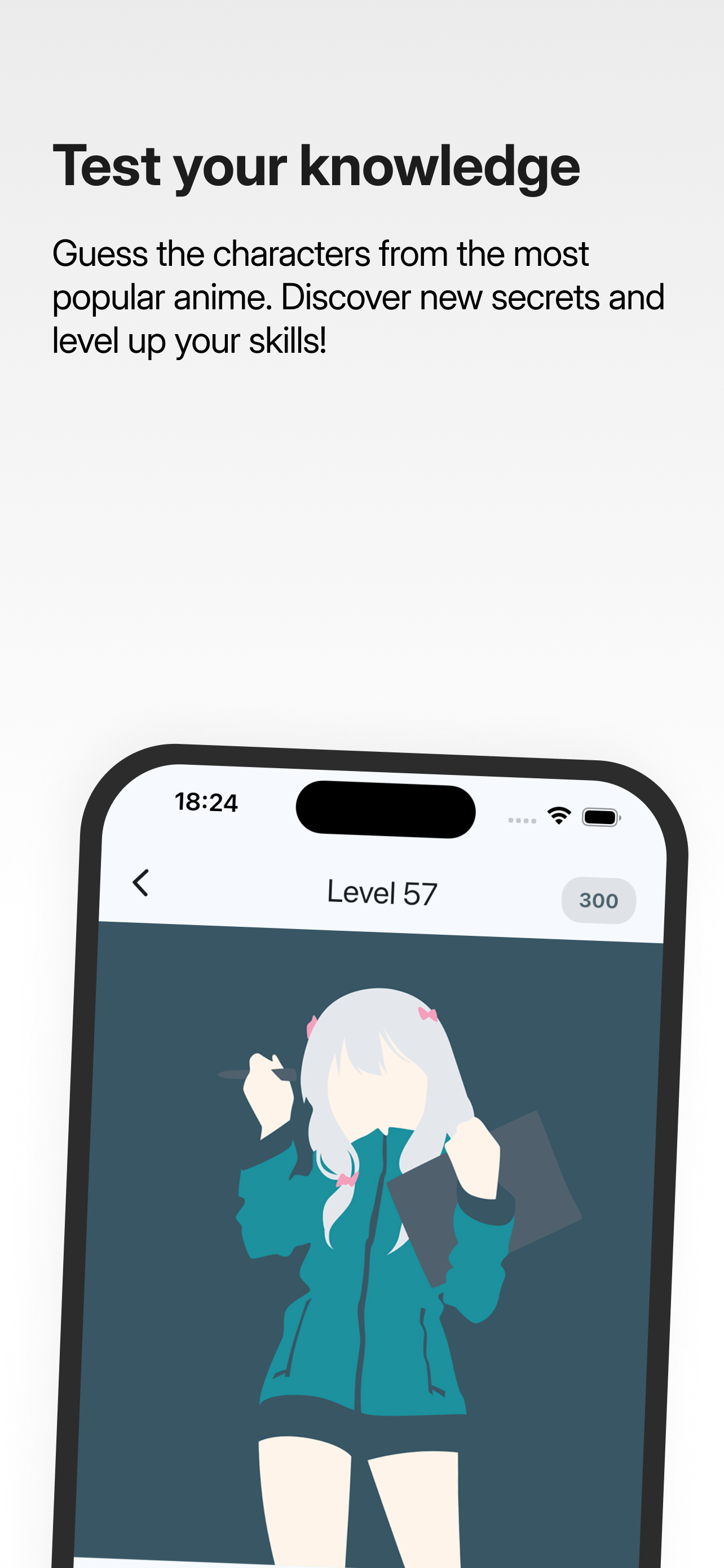 Guess anime hero