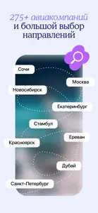 Авиабилеты дешево на Туту ру screenshot #2 for iPhone