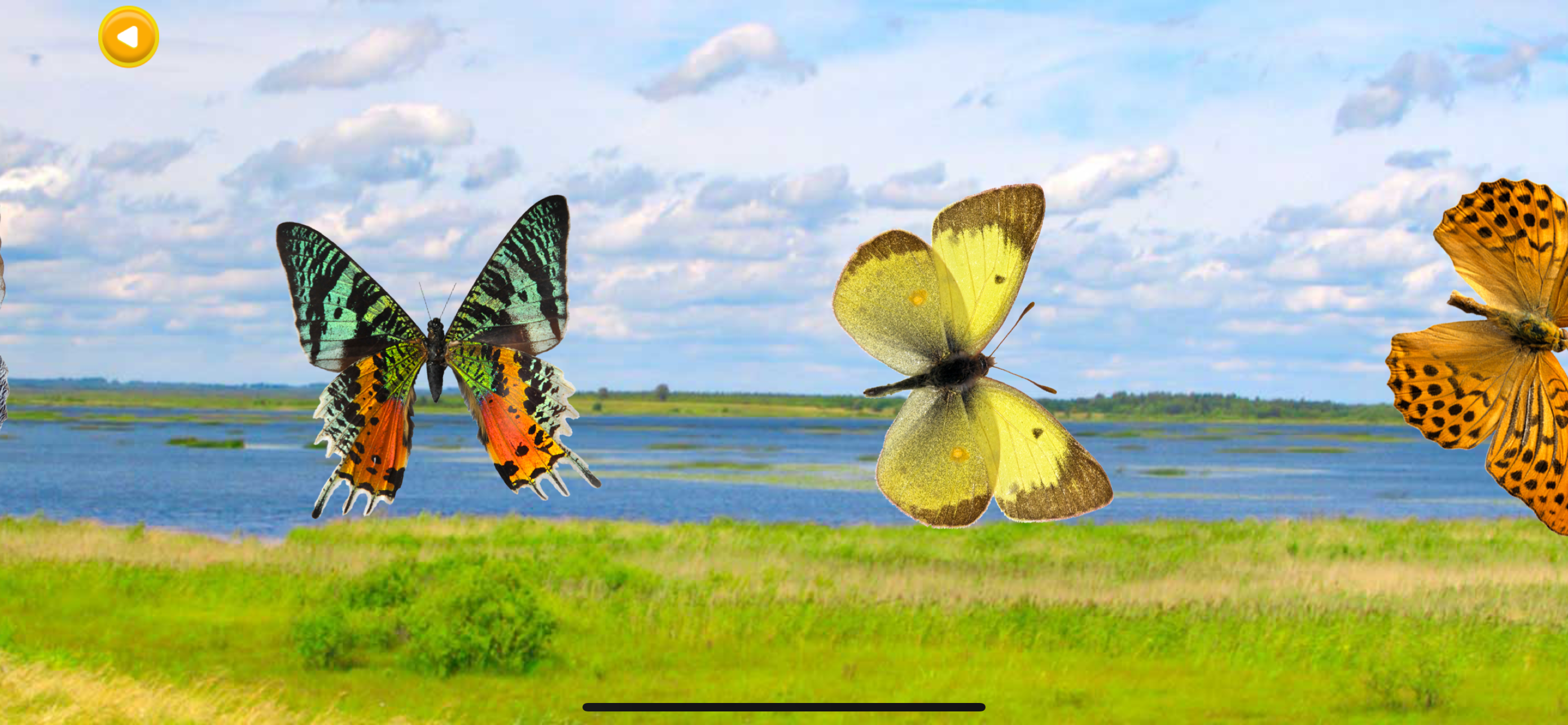 Stickman Battle Fight Game