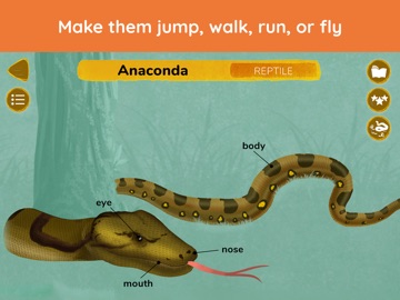 The Animals - Games For Kids iPad screenshot