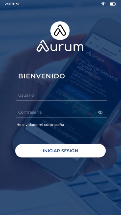 Aurum Screenshot