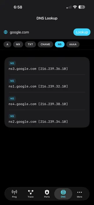 NetSleuth screenshot 1