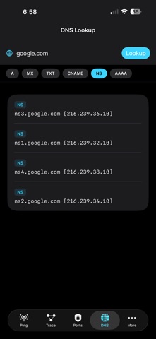 NetSleuth screenshot