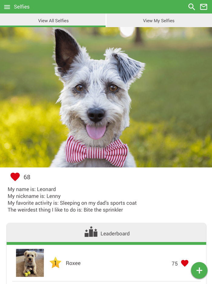 Bartow Animal Hospital