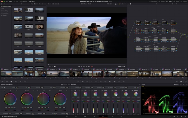 DaVinci Resolve」をMac App Storeで