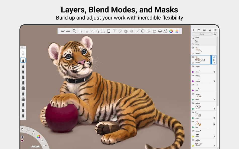 #5. Sketchbook Pro (macOS) 由: Sketchbook, Inc