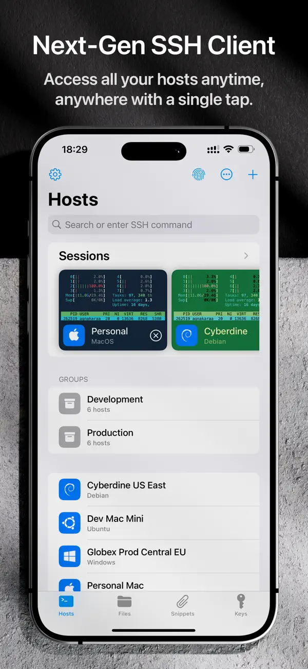 #1. Termix Pro: SSH & SFTP Client (iOS) Podle: Simon Zvara