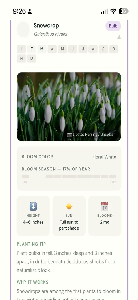 Bloom Planner App - Lifestyle App | MWM