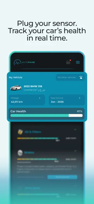 AutoPulse screenshot 3