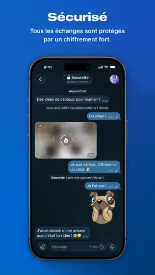 Capture d'écran de Telegram Messenger sur iPhone 4
