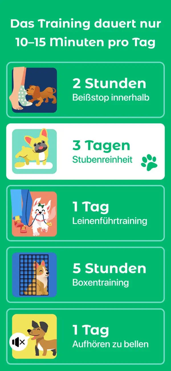 Dogo - Welpen- & Hundetraining Screenshot 2