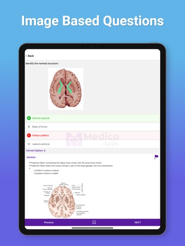 FMGE Previous Year Papers iPad screenshot