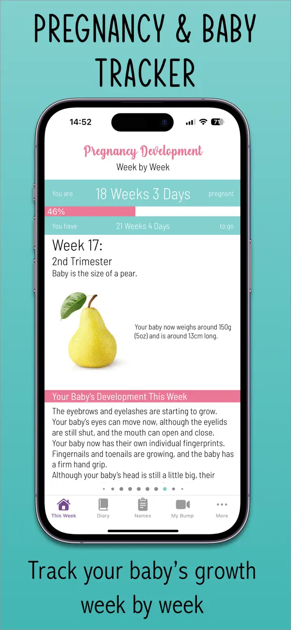 Screenshot #1 pour Pregnancy Tracker Insights