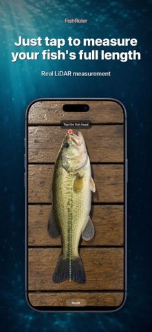 Fish Ruler Size Measure Catch Screenshot 1 of 10