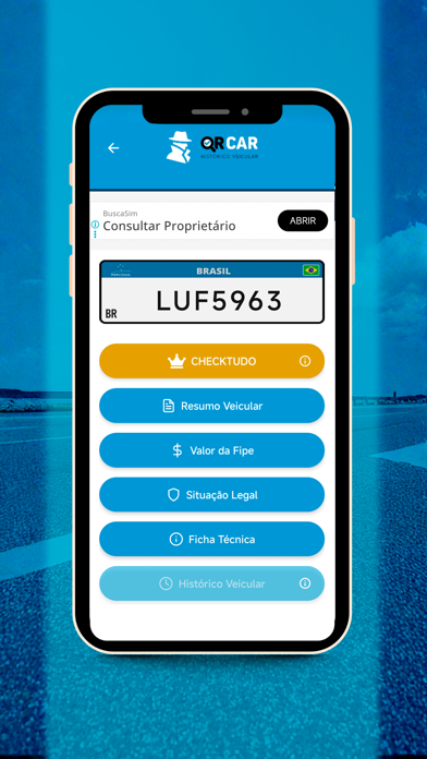 QR Car - Consultas Veiculares screenshot