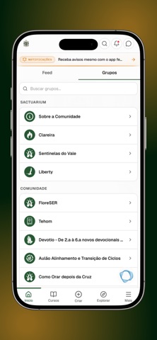 FELV - Lírios do Vale iPhone screenshot