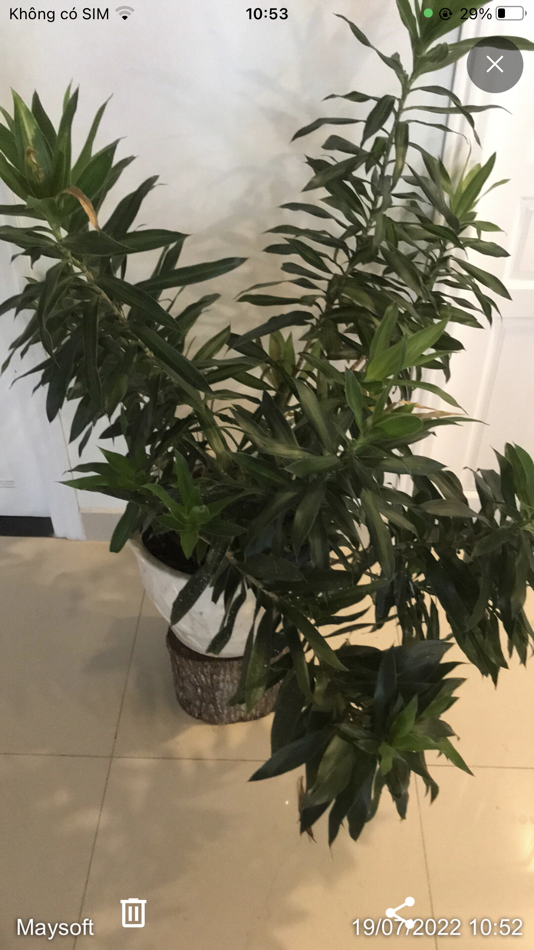 #4. Medkit App (iOS) Podle: MAY SOFTWARE TECHNOLOGIES COMPANY LIMITED