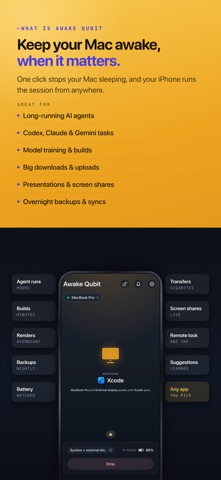 Awake Qubit screenshot 2