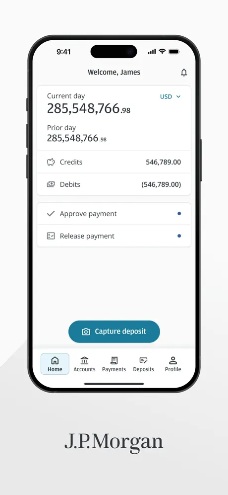 J.P. Morgan Access screenshot 2