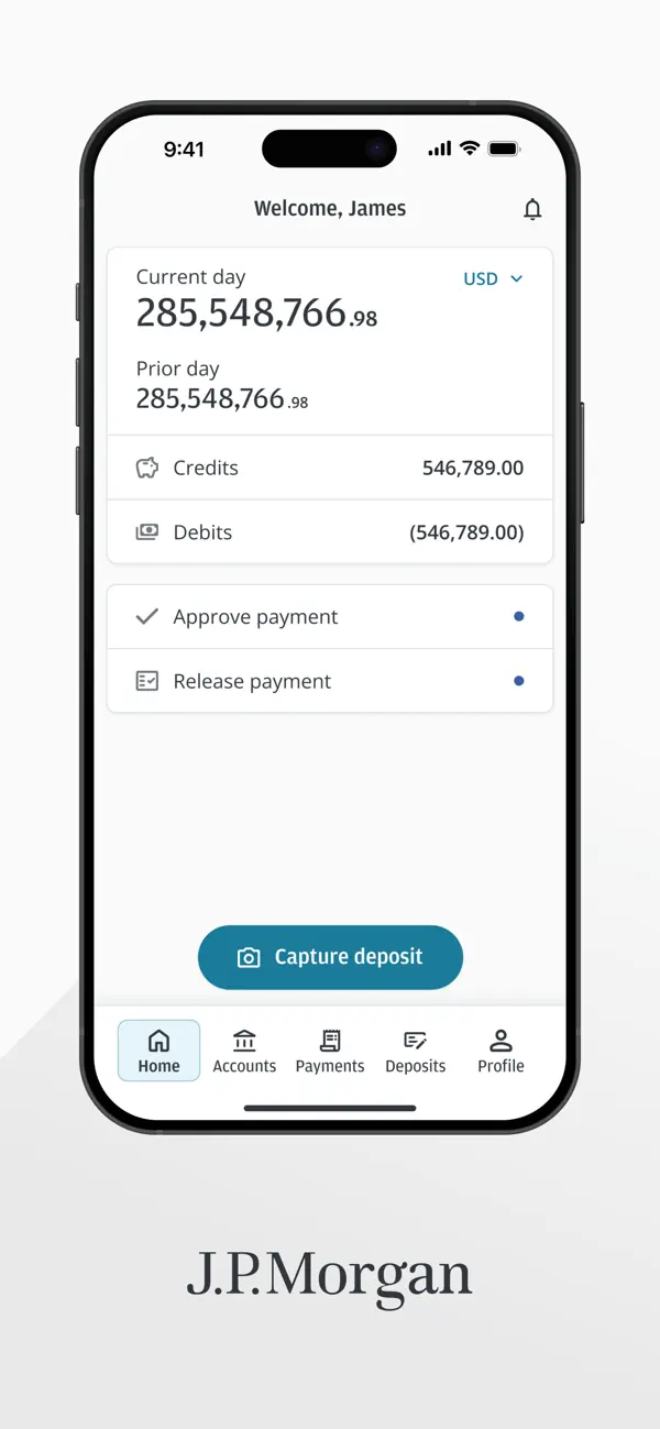 Screenshot #2 pour J.P. Morgan Access