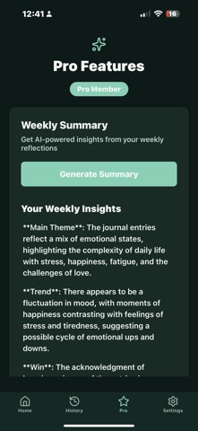Ming: Reflection Journal Screenshot 4 of 5