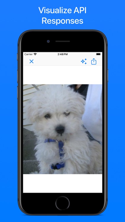 API Bot screenshot-4