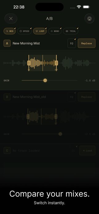 AudRig Screenshot 2 of 6