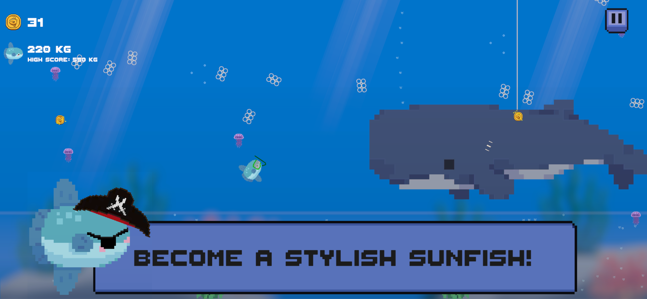 Sunfish Siesta screenshot 4