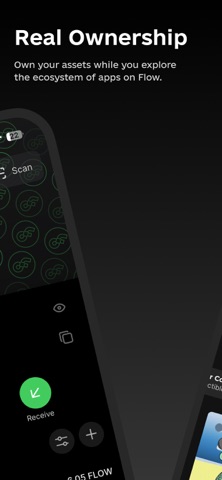 Flow Wallet - NFTs and Crypto iPhone screenshot