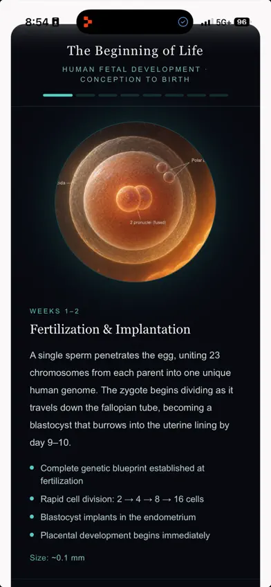 Pregnancy AI Assistant screenshot 2