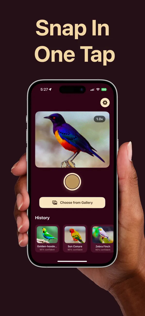 #2. Bird Identifier & Recognizer (iOS) Ved: Bulent Hanci