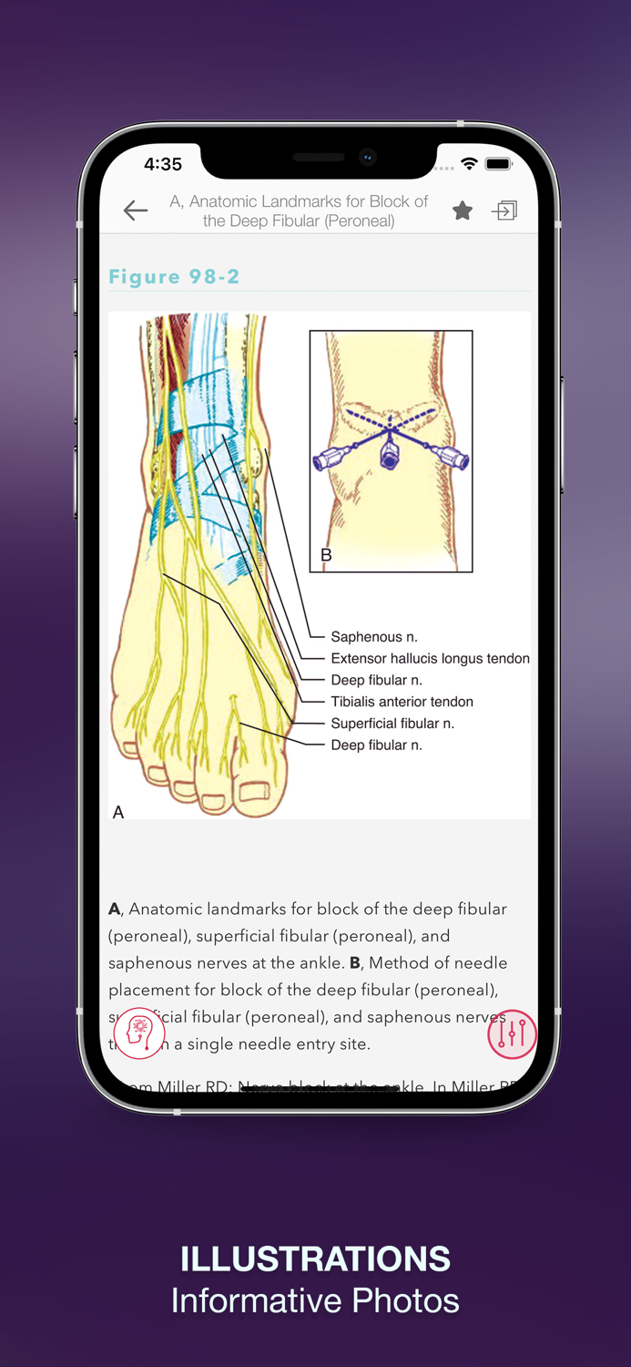 Fausts Anesthesiology Review