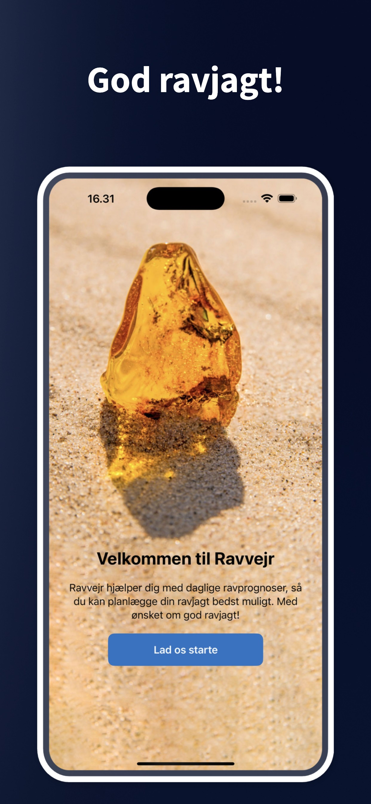 Ravvejr
