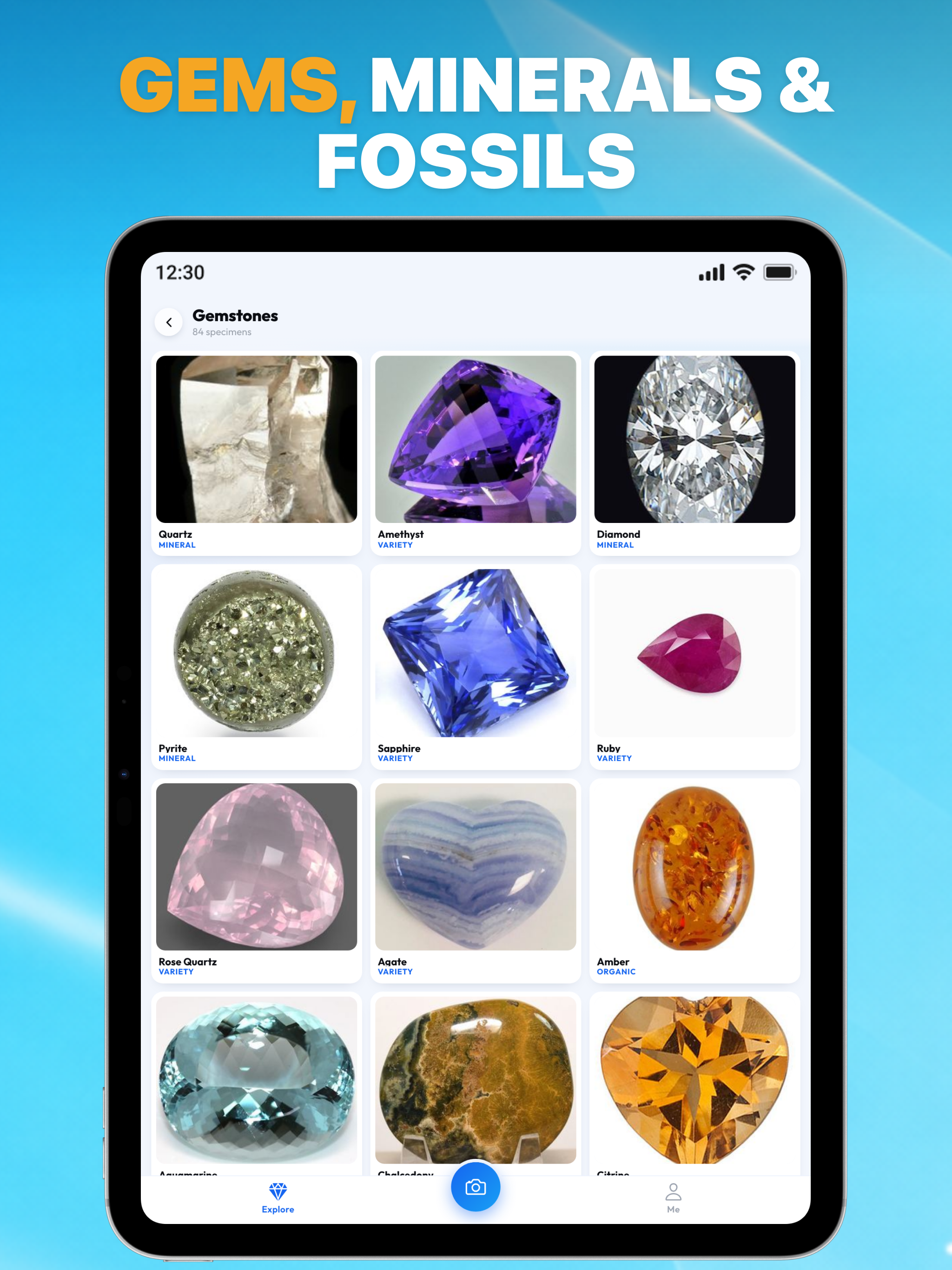 Primo Rocks: Rock & Crystal ID screenshot 11