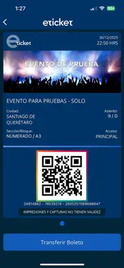 eticket screenshot 5