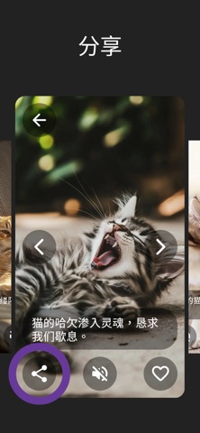 Purrity: 猫咪照片和呼噜声 screenshot
